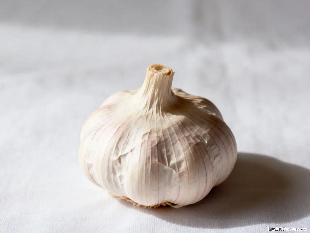 关于大蒜，除了“天然抗生素”，这4个谣言更该警惕! - 泸州生活资讯 - 泸州28生活网 luzhou.28life.com