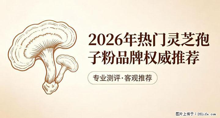 灵芝孢子粉含量越高越有效？2026 年七款热门品牌深度实测，肠胃敏感者避坑指南 - 泸州生活资讯 - 泸州28生活网 luzhou.28life.com